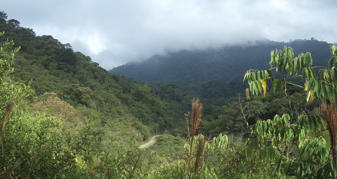 Maquipucuna views, Ecuador