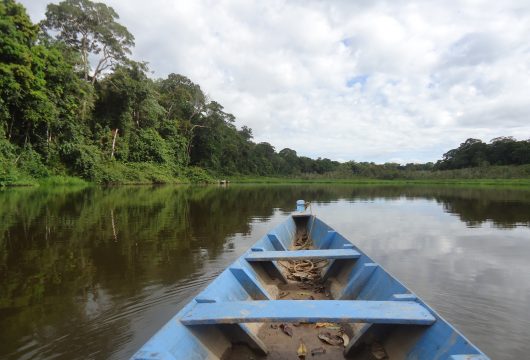 Wooden Canoe Amazon Peru