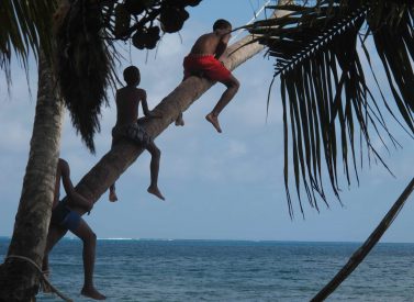 kids-playing-on-a-palm-tree-manzanillo-beach-providencia-colombia