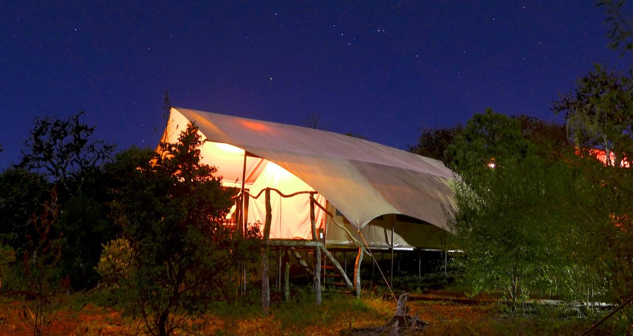 Safari Camp with night sky Galapagos