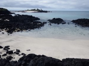 Sea view Floreana Galapagos