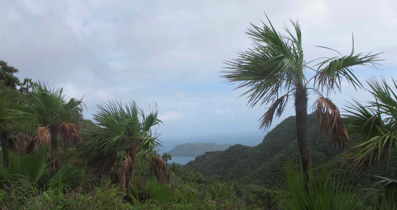 walk-to-el-pueblito-tayrona-national-park-colombia