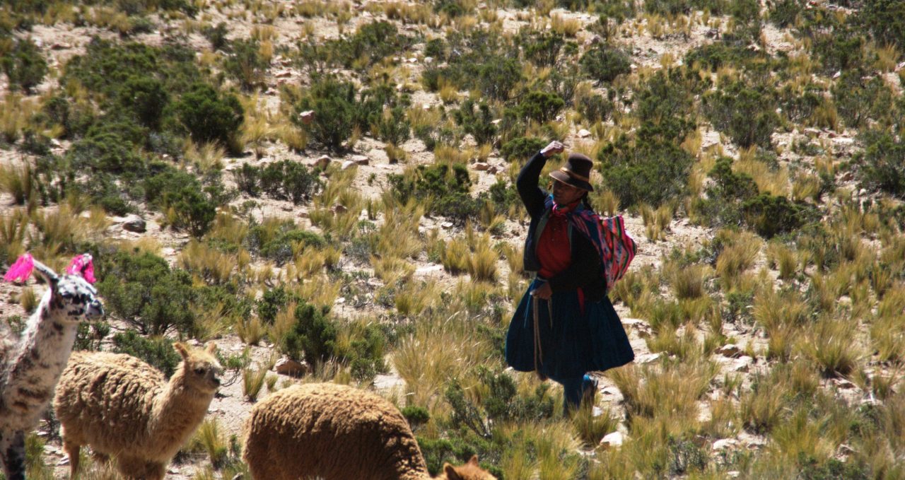 colca-shepherd-peru