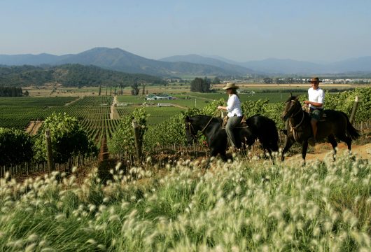 horse riding wine region Chile