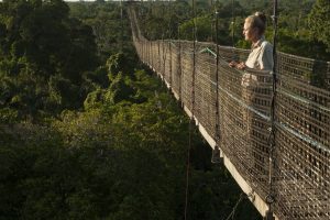 Canopy Walkway Sacha Lodge Ecuador