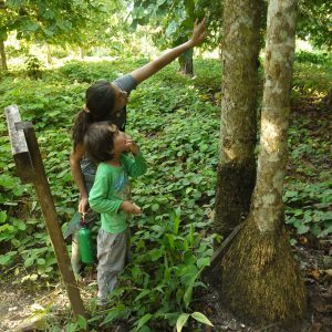 Family holiday Amazon Peru