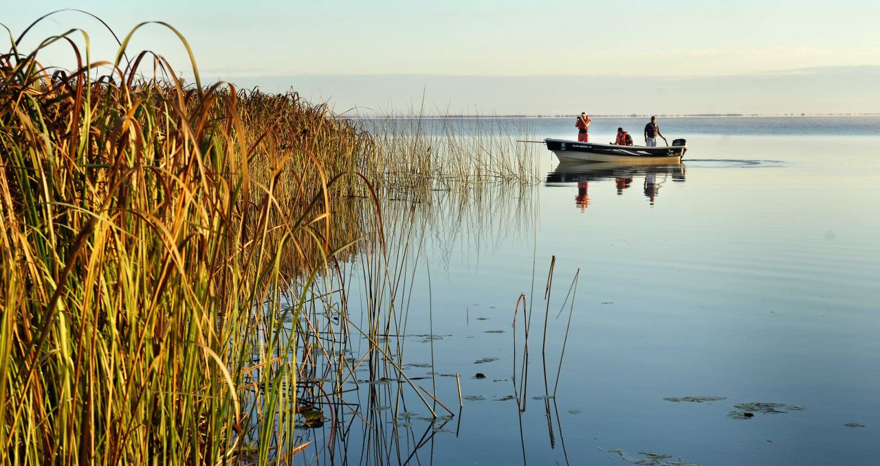 boat-safari-irupe-argentina