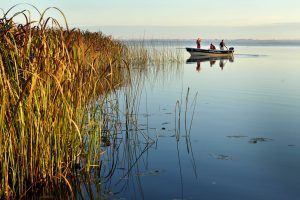 boat-safari-irupe-argentina