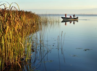 boat-safari-irupe-argentina