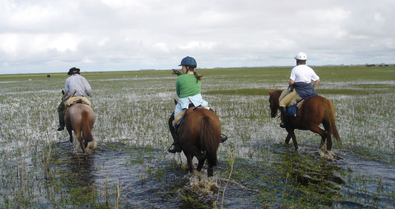 horse-riders-in-marsh-uruguay