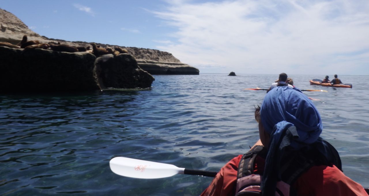 kayak-with-sea-lion-colony-peninsula-valdes-argentina