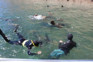 snorkel-sea-lions-peninsula-valdes-argentina