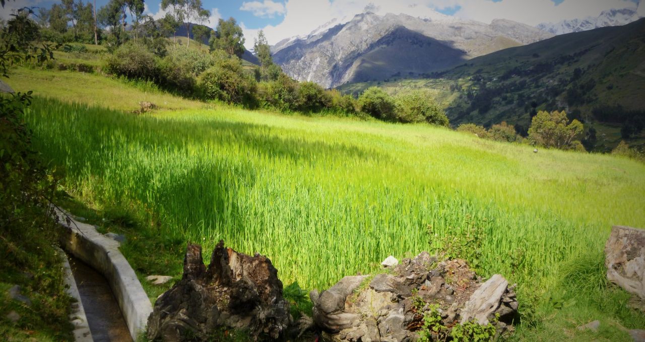 huaraz-fields-peru