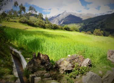 huaraz-fields-peru