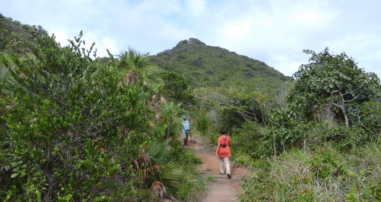 El Pico walk, Providencia, Colombia