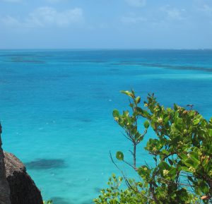 The reef landscape, Providencia, Colombia