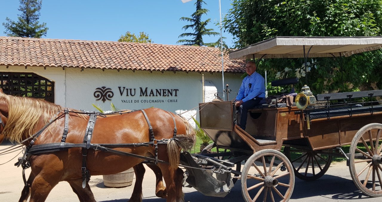 Viu Manent Winery in Santa Cruz, Colchagua Valley, Chile