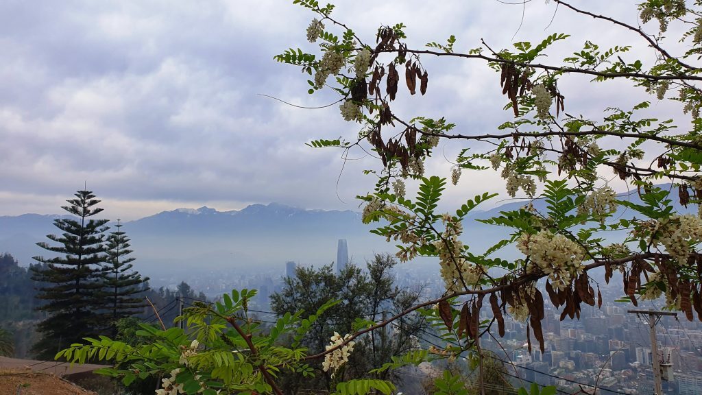 Santiago from Cerro San Cristobal, Chile