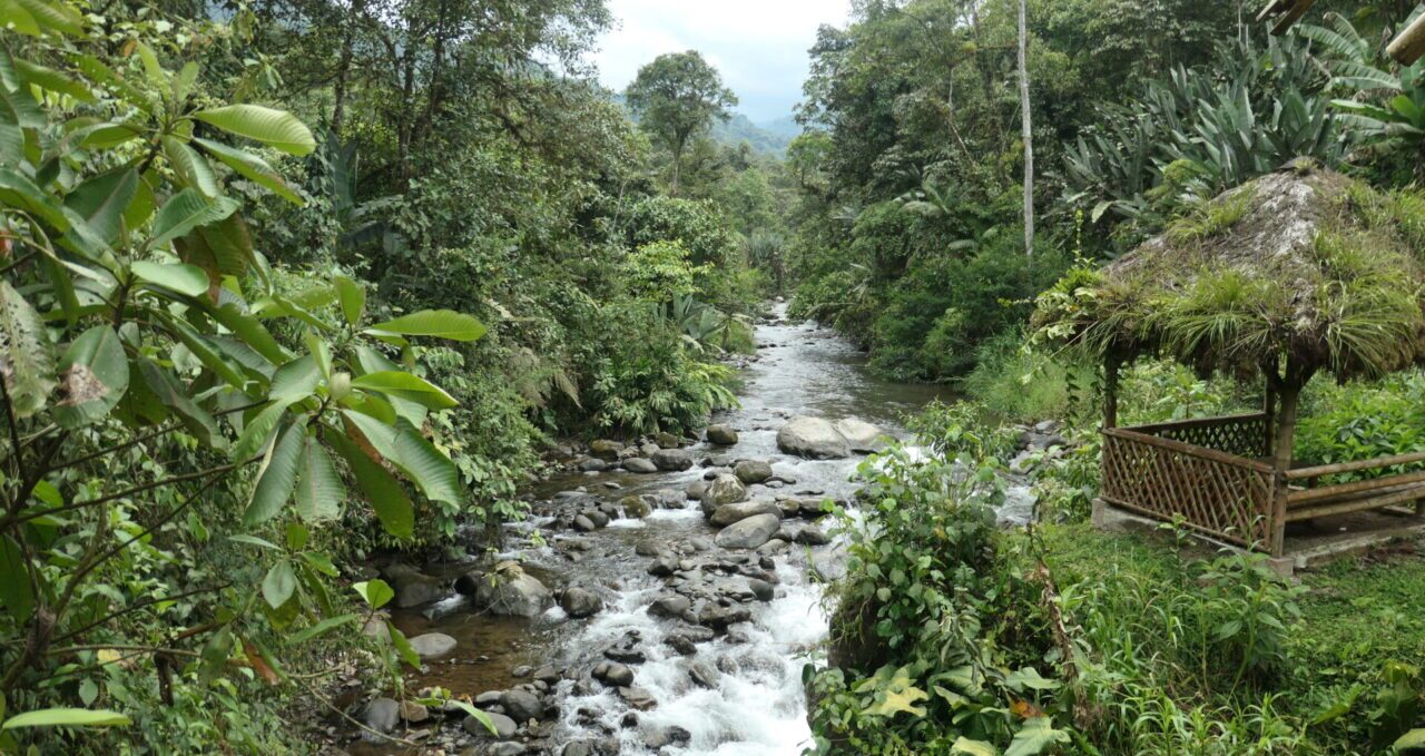 Rio Mindo, El Monte