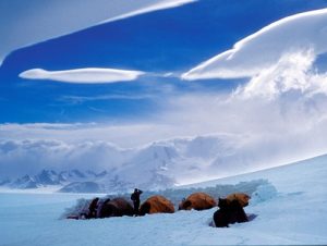 Camp on South Patagonia Ice Field Patagonia