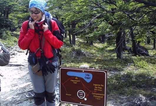 Fitzroy Trek Signs Los Glaciares Patagonia Argentina