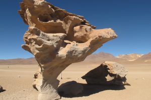 stone-tree-uyuni-bolivia