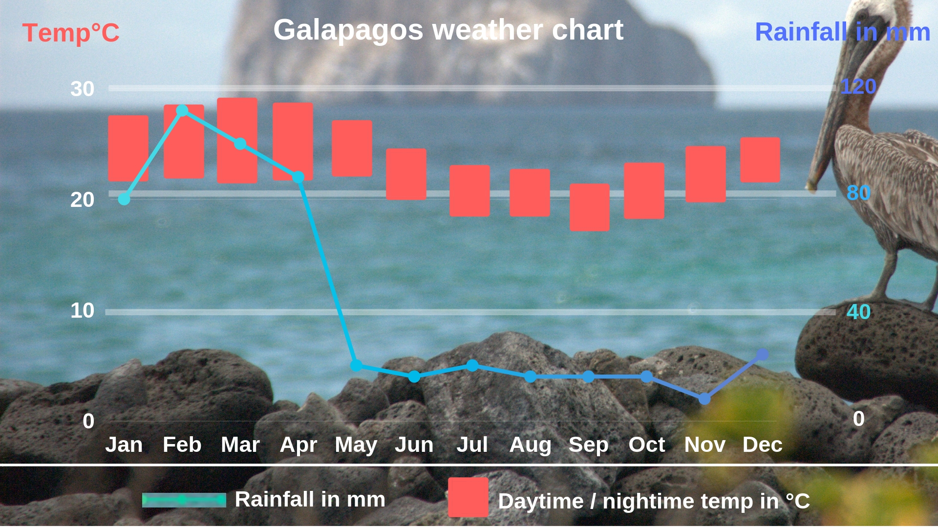 Galapagos Family Holiday Andean Trails