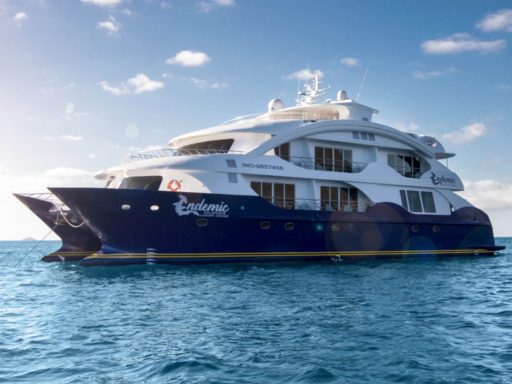 The Best Galapagos Cruises for 2020: Top Tips | Andean Trails