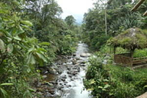 Rio Mindo, El Monte